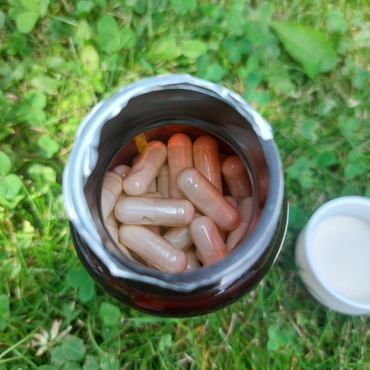 Фото покупателя №383 из 638: Пробиотик Bifimax Forte / 570 mg / 90 капсул, отзыв на 5 из 5, Ozon, 18 июля 2024