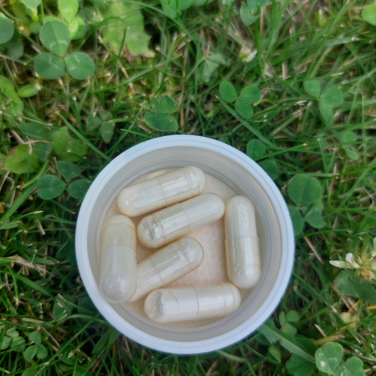 Фото покупателя №384 из 638: Пробиотик Bifimax Forte / 570 mg / 90 капсул, отзыв на 5 из 5, Ozon, 18 июля 2024