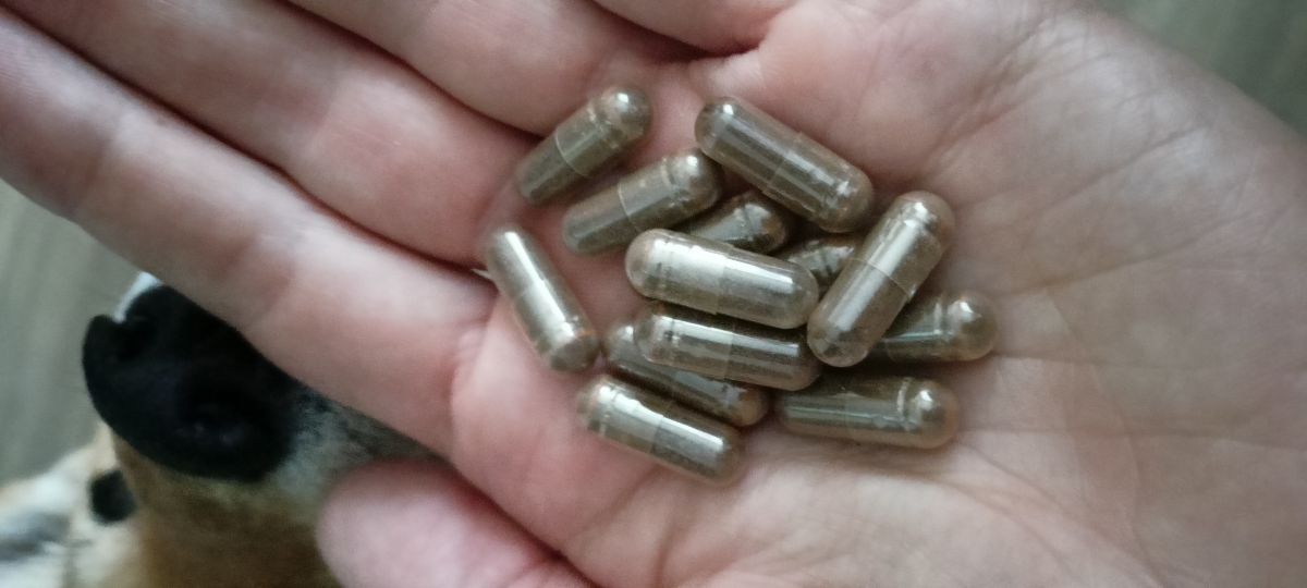 Фото покупателя №182 из 293: Железо Ferrum Chlorella bionordiq 600 мг 90 капсул, при анемии, для гемоглобина, хлорелла, железо витамины, для женщин, витаминный комплекс, БАД, для иммунитета, для здоровья, для женщин и мужчин, отзыв на 4 из 5, Ozon, 3 июля 2024