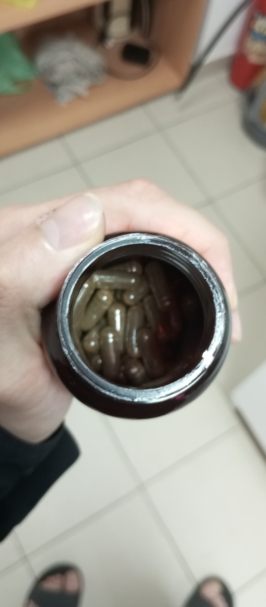 Фото покупателя №47 из 293: Железо Ferrum Chlorella bionordiq 600 мг 90 капсул, при анемии, для гемоглобина, хлорелла, железо витамины, для женщин, витаминный комплекс, БАД, для иммунитета, для здоровья, для женщин и мужчин, отзыв на 5 из 5, Ozon, 13 июля 2024