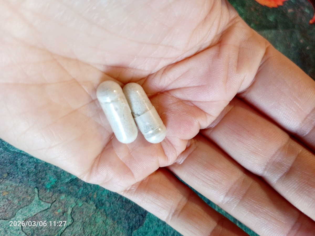 Фото покупателя №4 из 293: Железо Ferrum Chlorella bionordiq 600 мг 90 капсул, при анемии, для гемоглобина, хлорелла, железо витамины, для женщин, витаминный комплекс, БАД, для иммунитета, для здоровья, для женщин и мужчин, отзыв на 4 из 5, Ozon, 6 марта 2026
