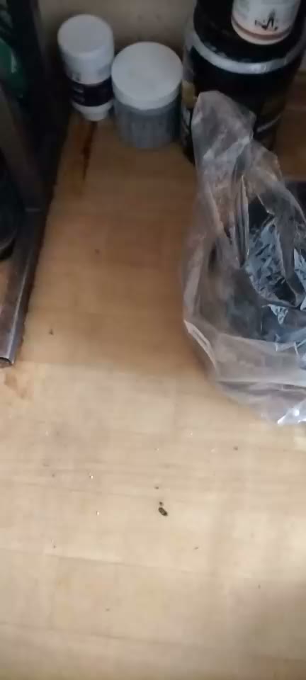 Кадр из видео покупателя №1 из 3: Гейнер высокобелковый / шоколад / 1500 гр 15 порций, отзыв на 5 из 5, Ozon, 11 февраля 2024